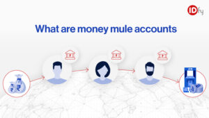 money mules